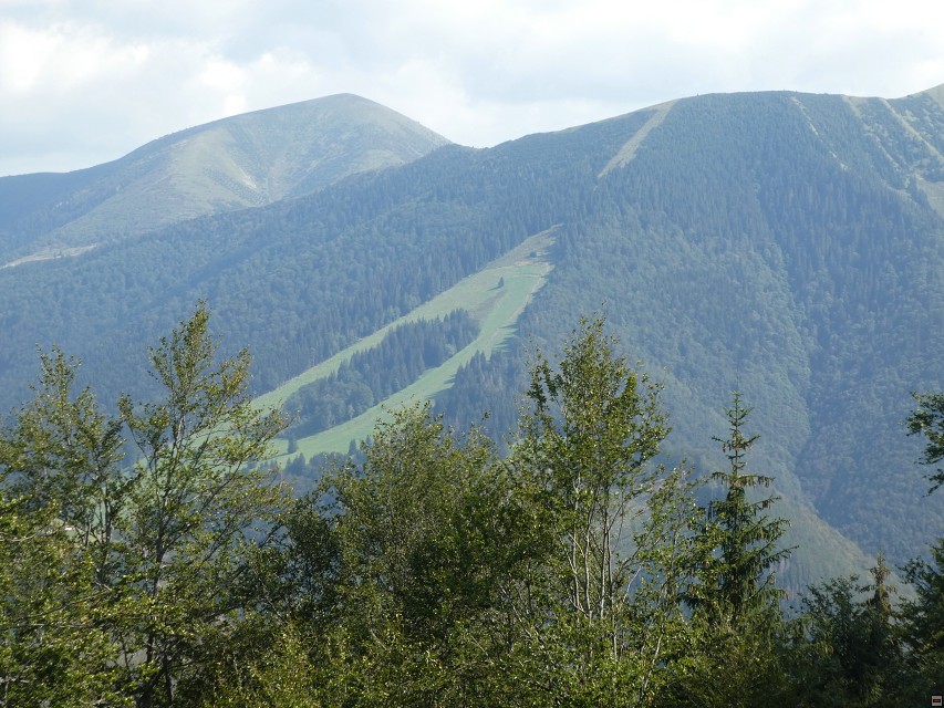 img00052.jpg