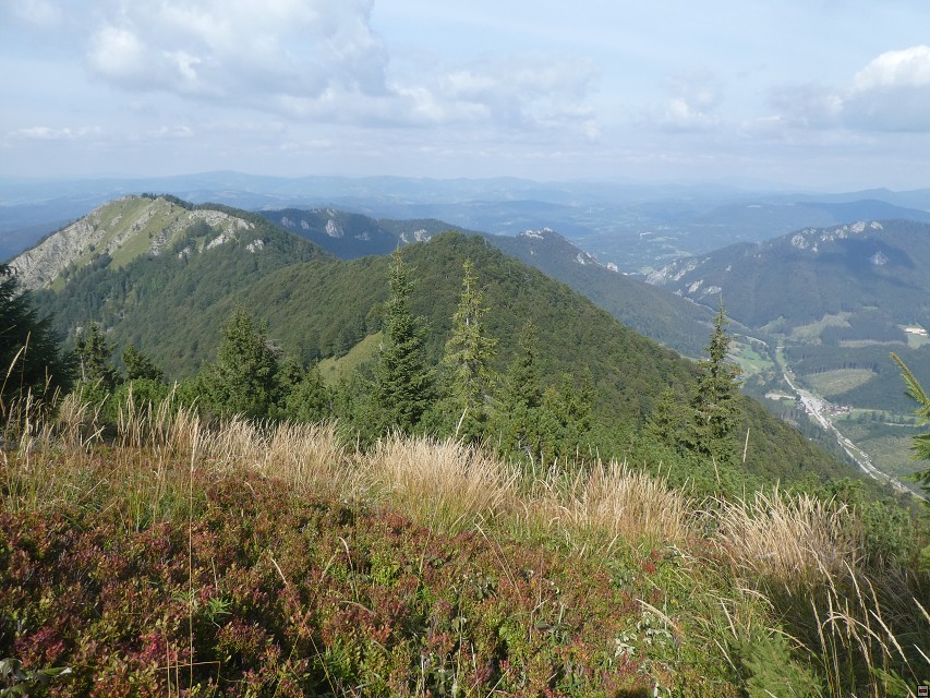 img00054.jpg