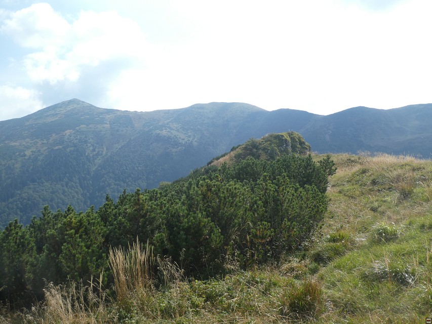 img00055.jpg
