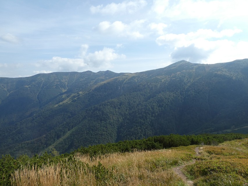 img00057.jpg