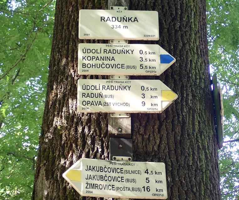 img00011.jpg