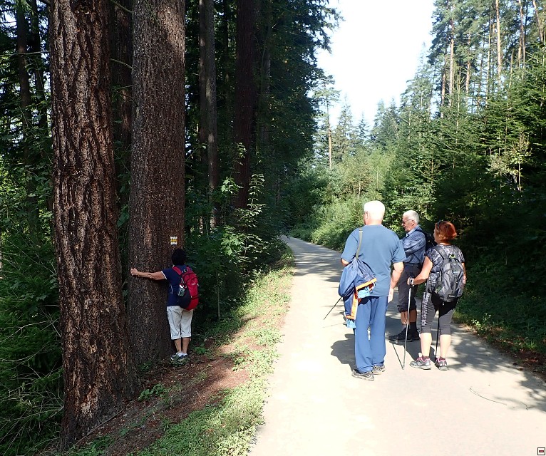 img00013.jpg