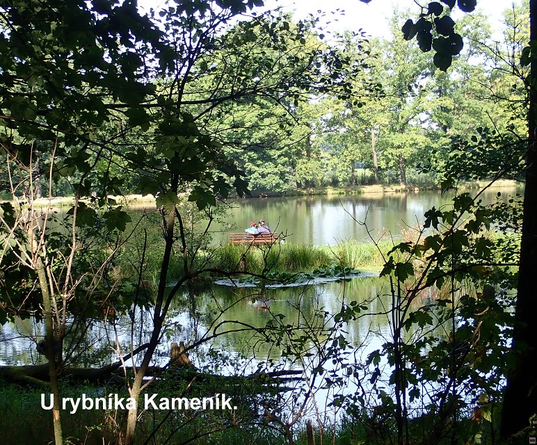 img00015.jpg