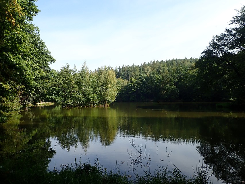 img00016.jpg