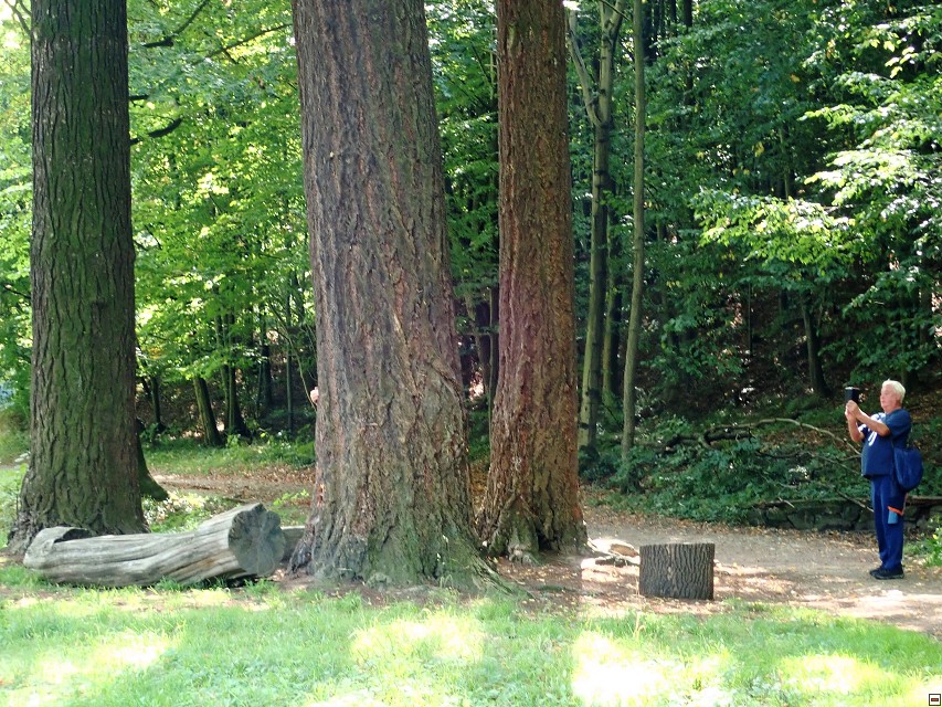 img00018.jpg