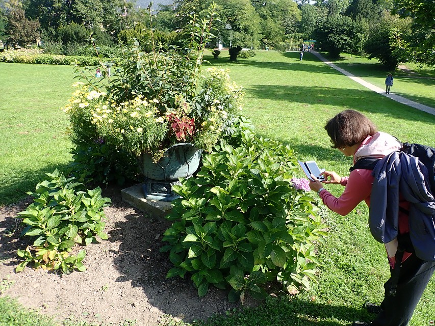 img00038.jpg