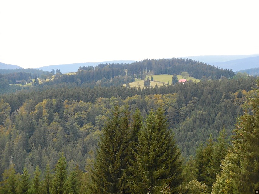 img00005.jpg