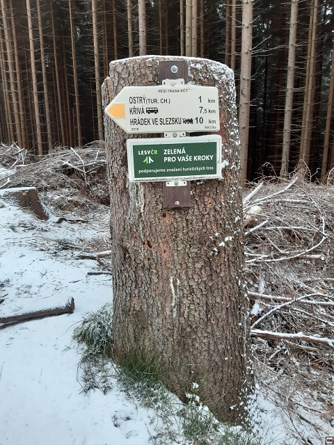 img00002.jpg