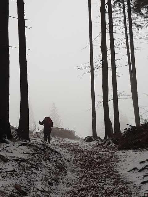 img00010.jpg