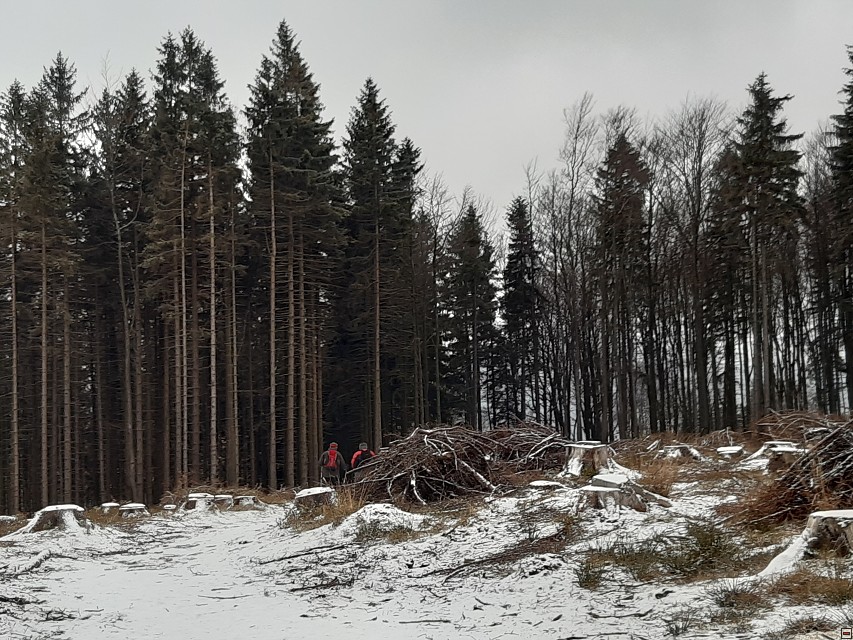 img00013.jpg