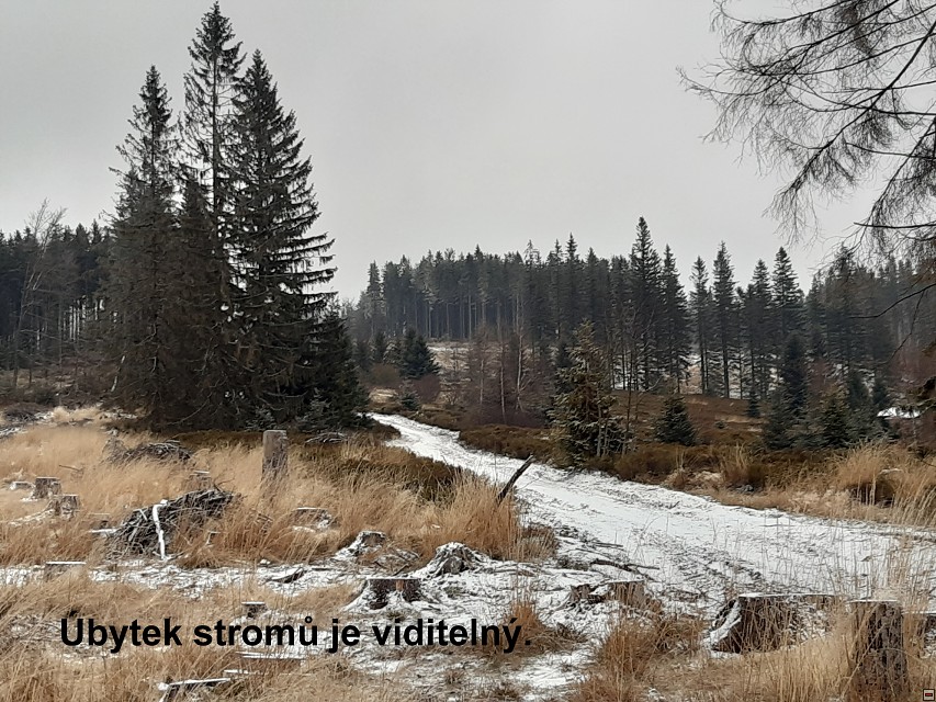 img00014.jpg