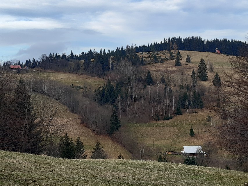 img00006.jpg