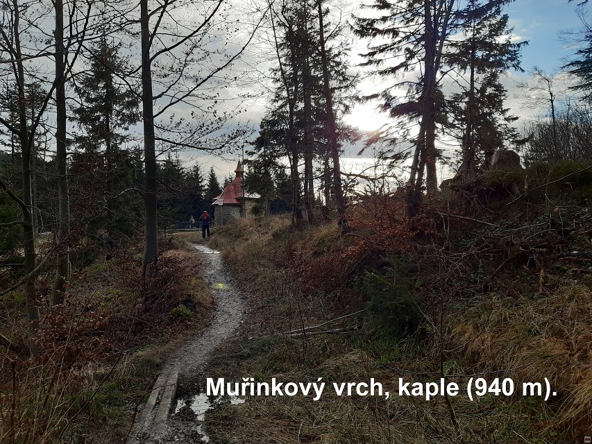 img00008.jpg