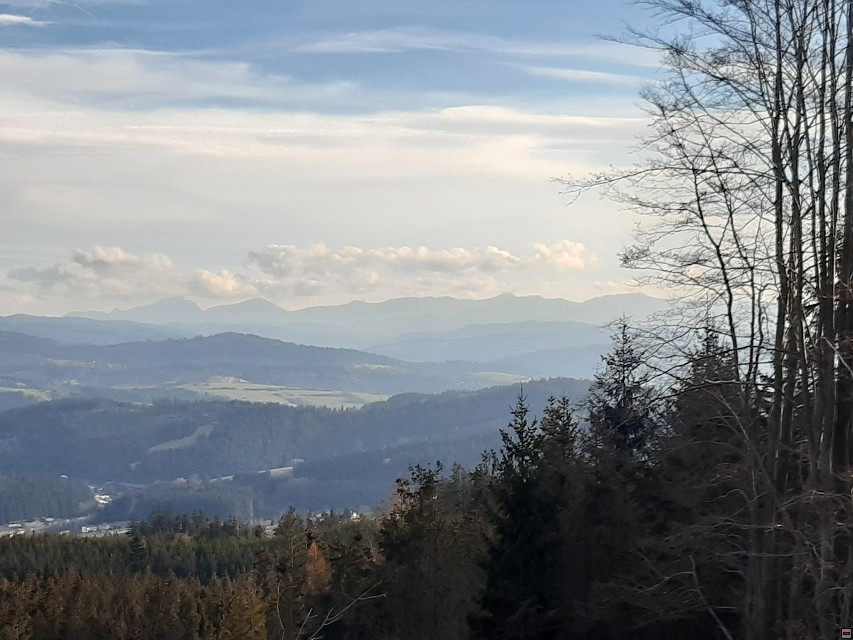 img00037.jpg