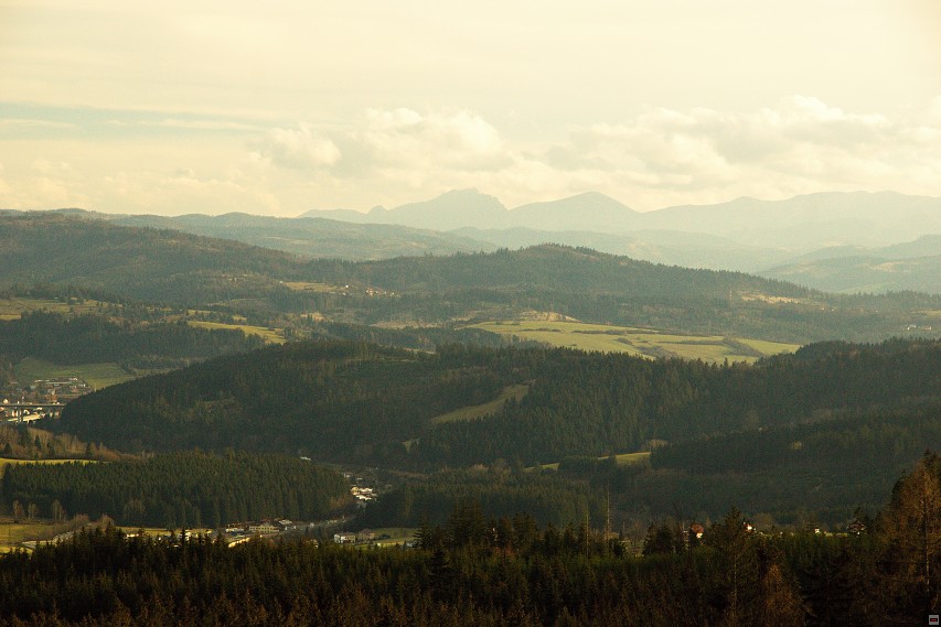 img00038.jpg