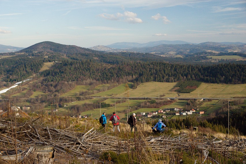 img00042.jpg