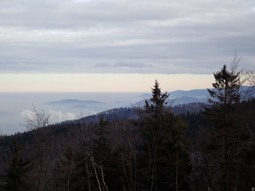 img00007.jpg