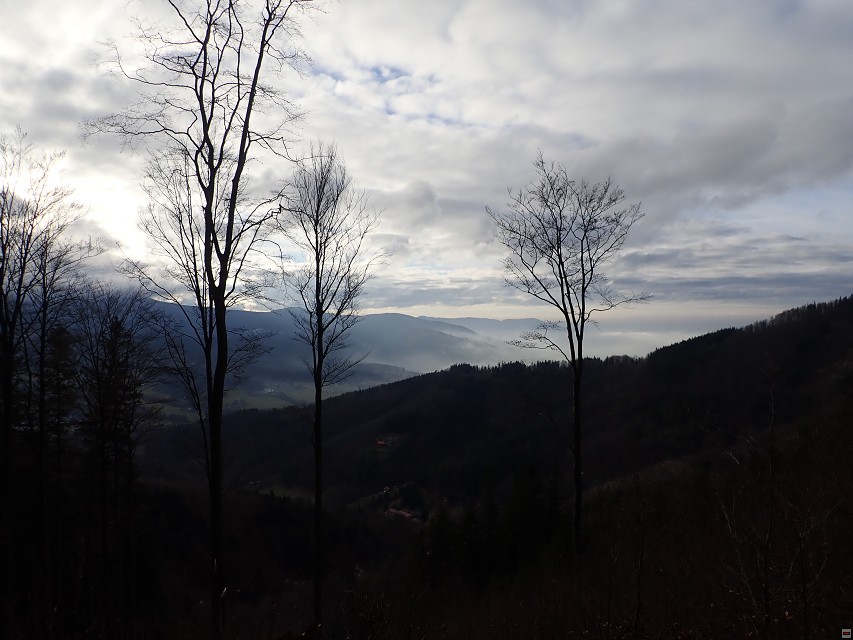 img00011.jpg