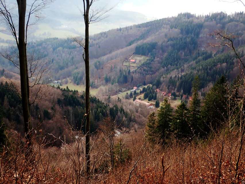 img00012.jpg