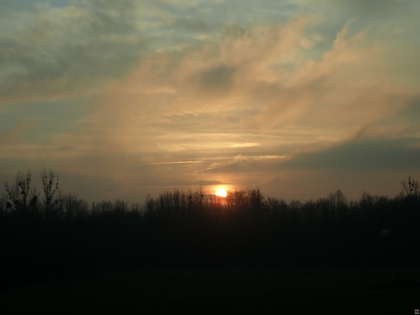 img00014.jpg