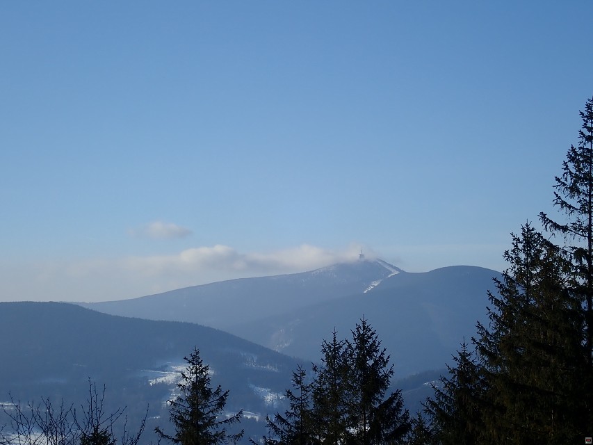 img00013.jpg