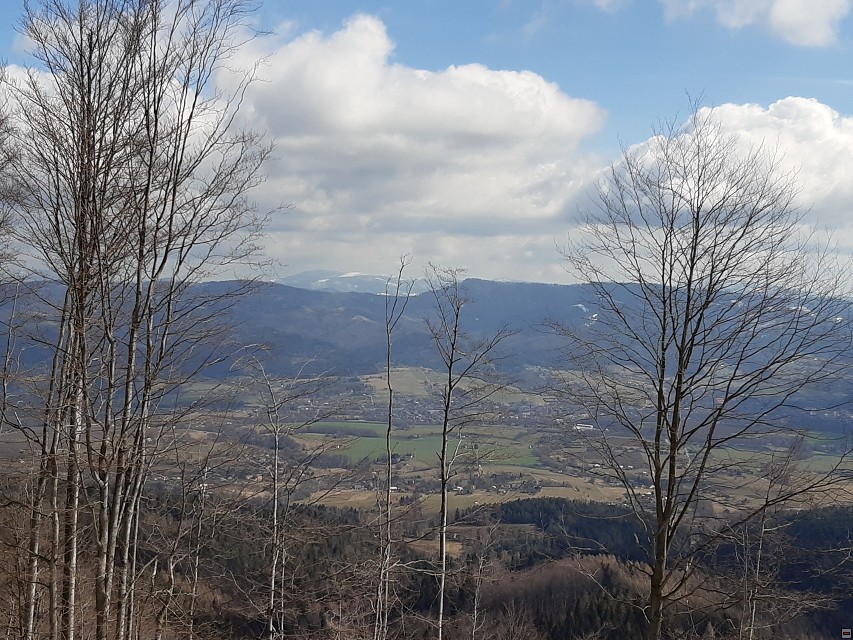 img00012.jpg