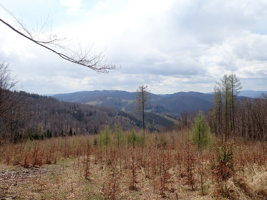 img00022.jpg