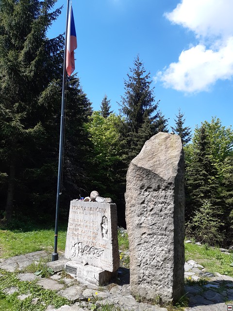 img00007.jpg