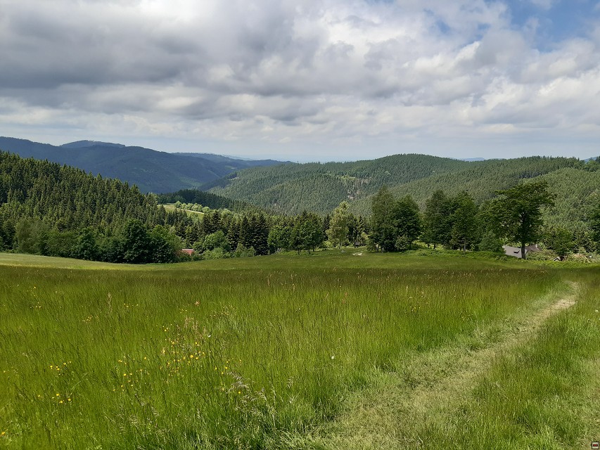 img00029.jpg