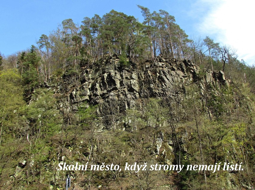 img00010.jpg