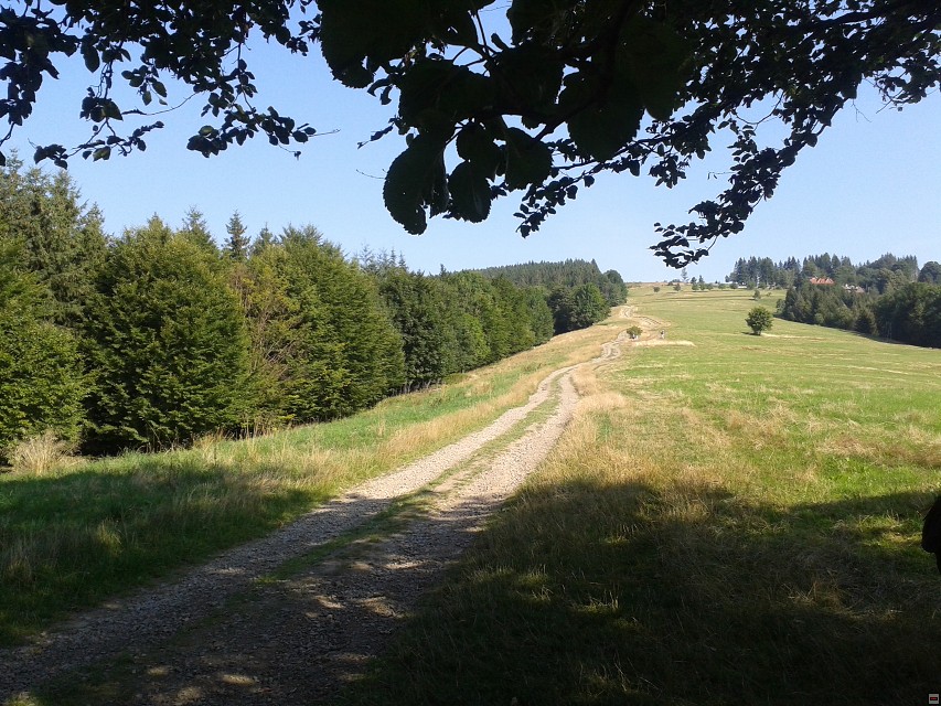 img00006.jpg