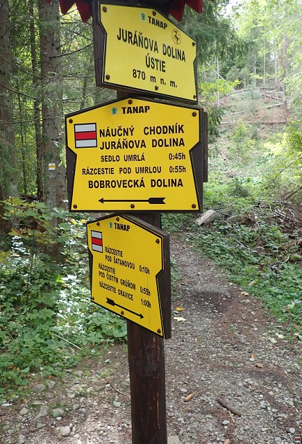 img00040.jpg