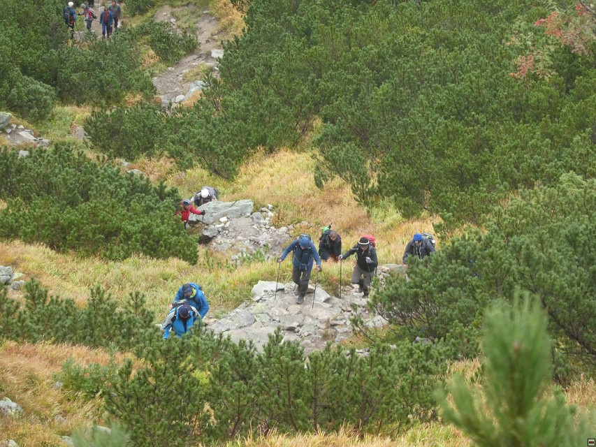 img00008.jpg