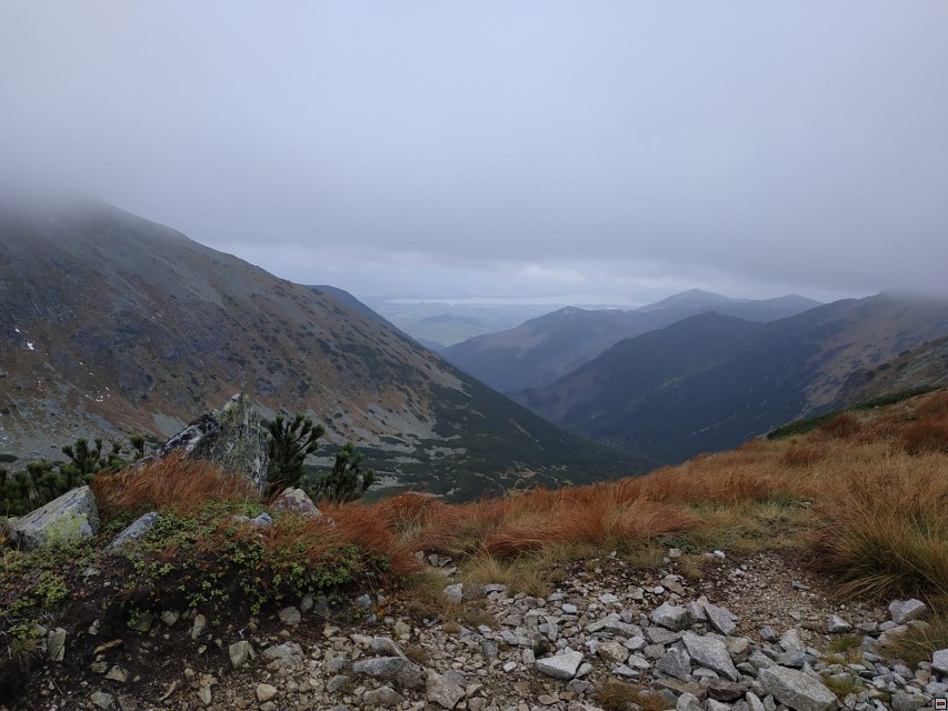 img00034.jpg