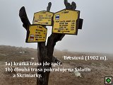 thn00019.jpg