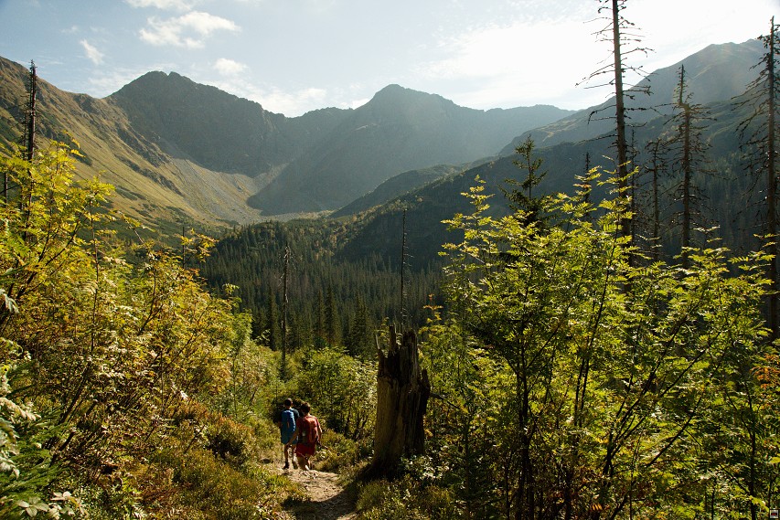 img00044.jpg