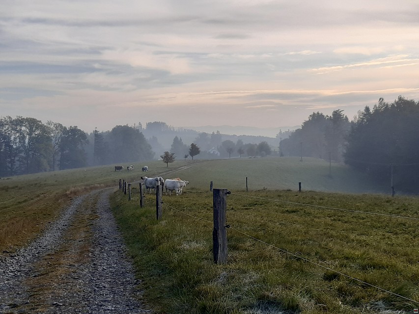 img00005.jpg