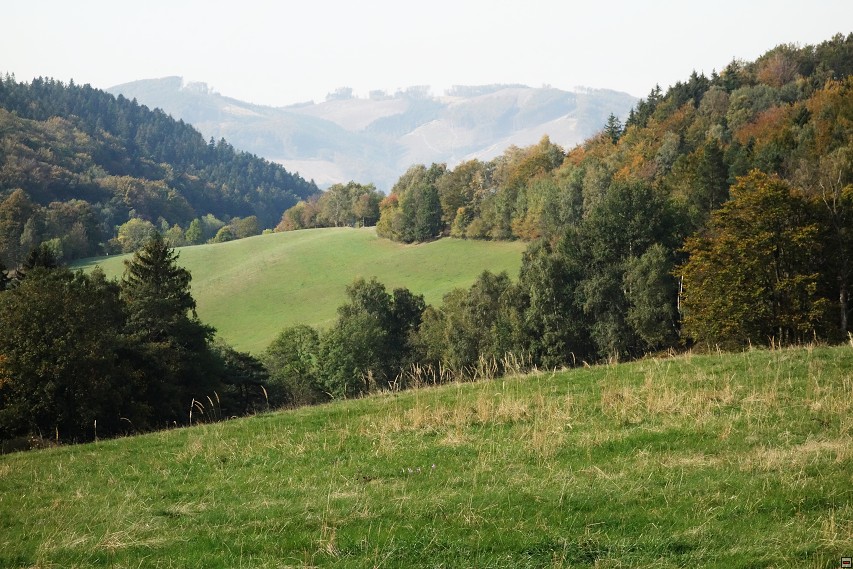 img00017.jpg
