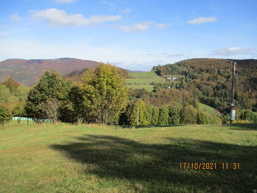 img00005.jpg