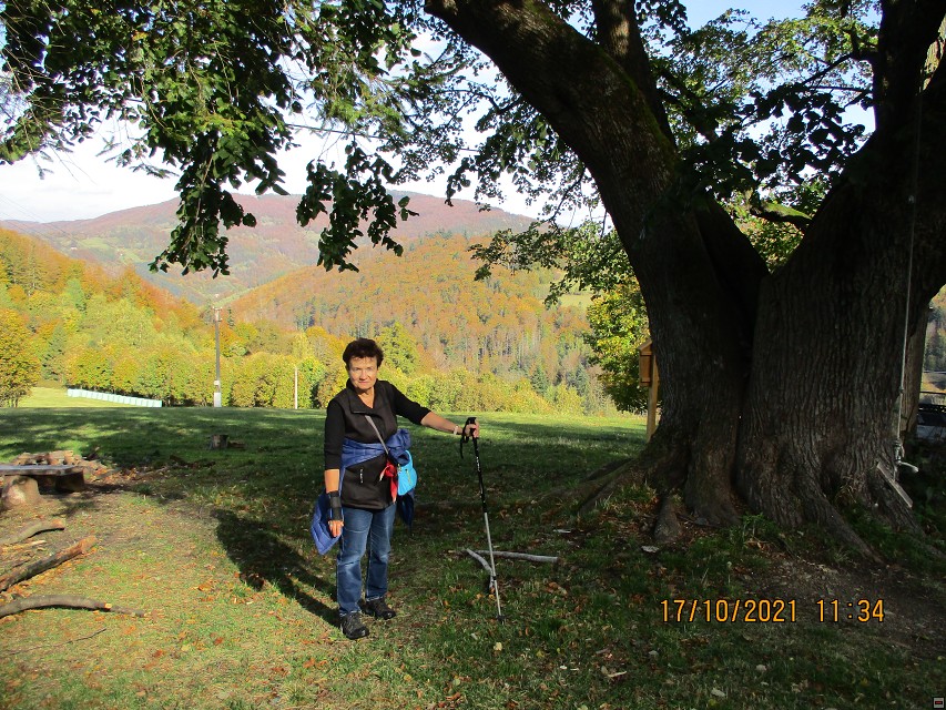img00007.jpg