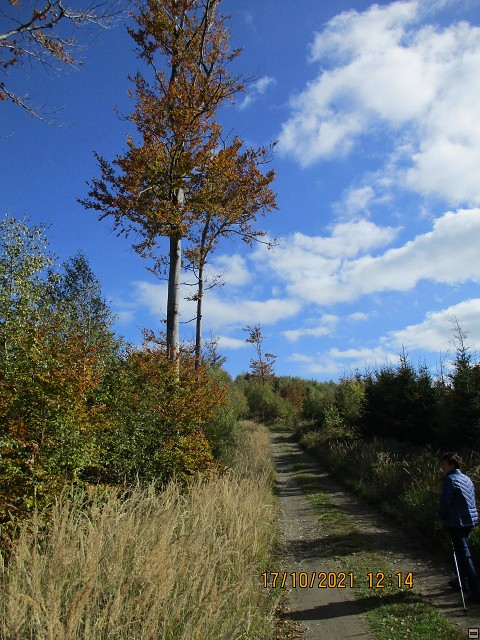 img00009.jpg