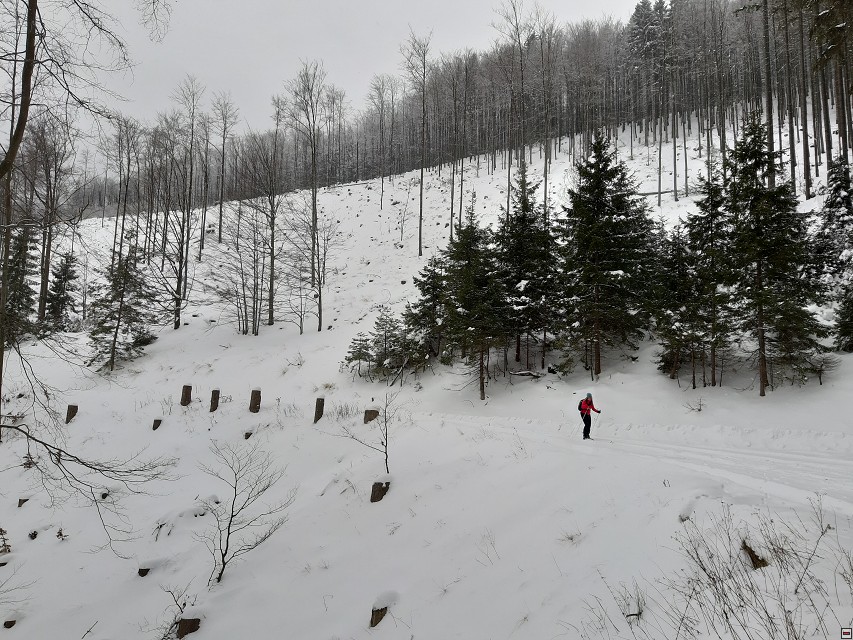 img00008.jpg