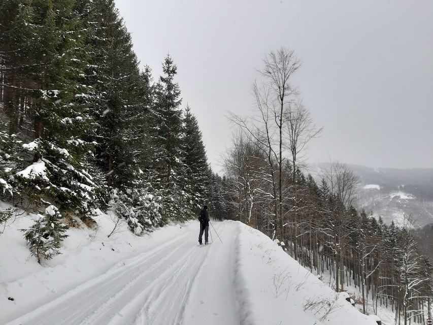 img00009.jpg