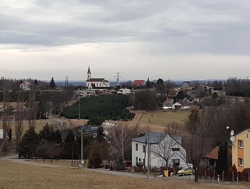 img00003.jpg