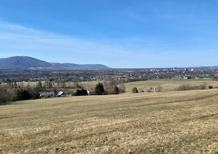 img00028.jpg