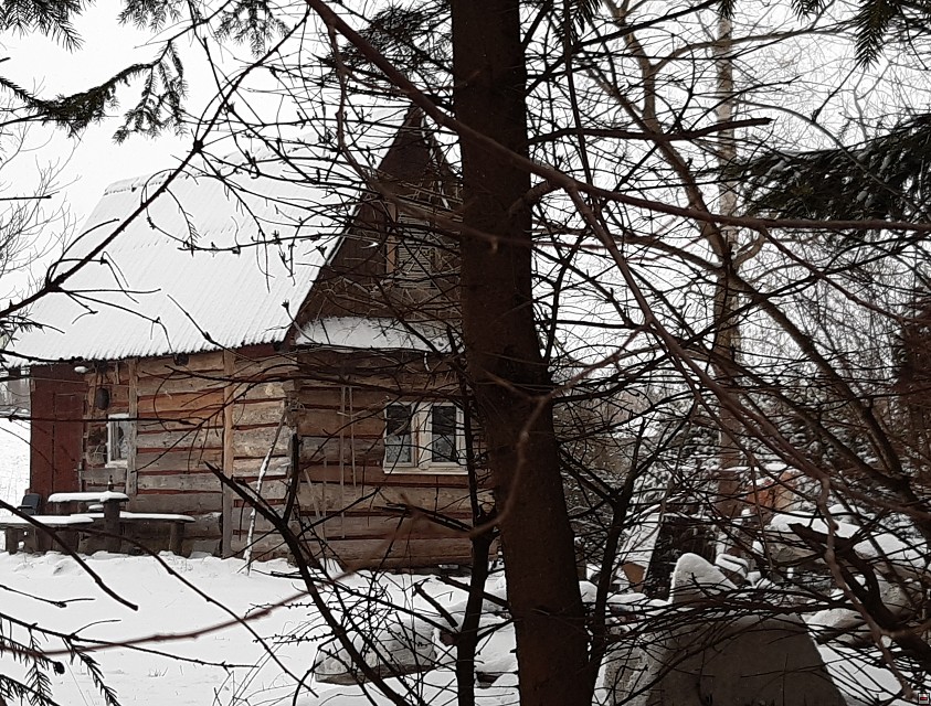 img00012.jpg