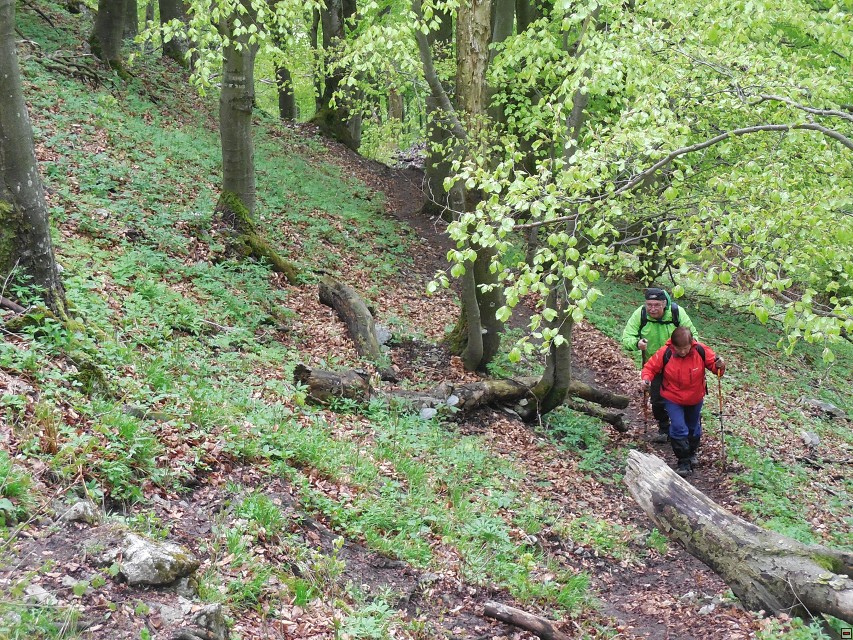 img00037.jpg