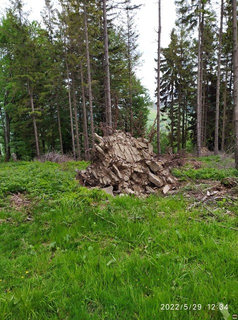 img00010.jpg