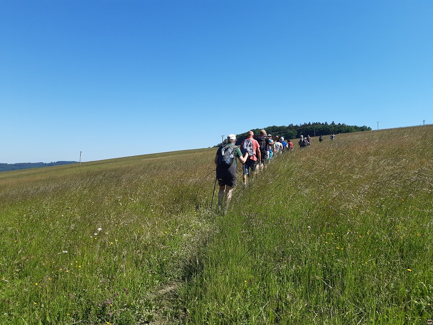 img00007.jpg