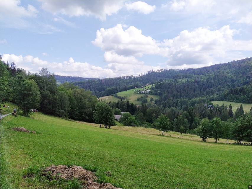 img00037.jpg